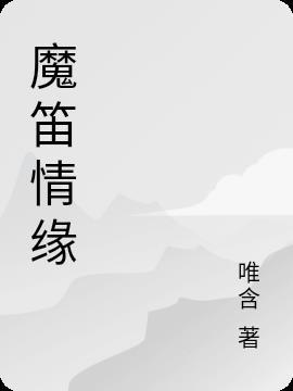 魔笛dj