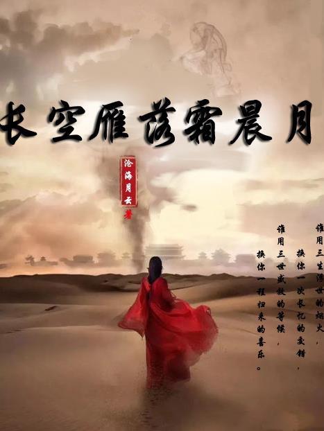长空雁落霜晨月txt