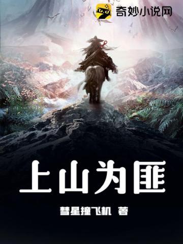 上山为匪TXT百度
