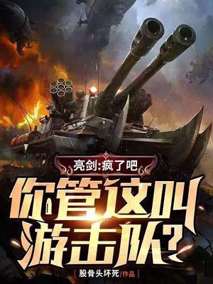 你管这叫游击队