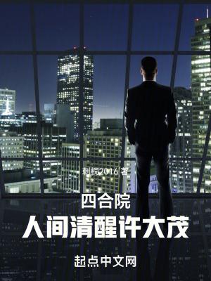 四合院人间清醒的何雨