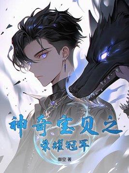 神奇宝贝冠军之路