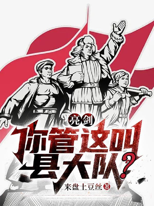 亮剑你管这叫县大队笔