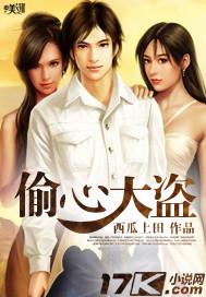 偷心大盗简介