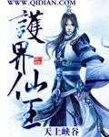 仙界护卫队