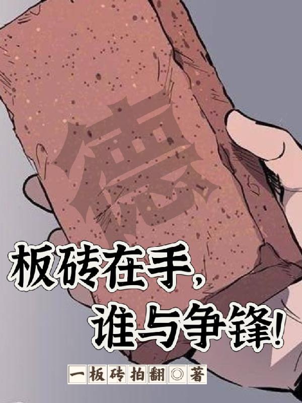 拿板砖乎