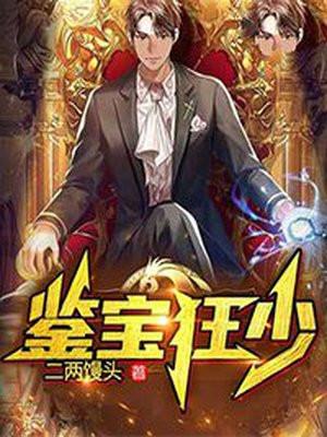 鉴宝狂少TXT电子书