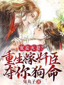 重生宠妾上位记