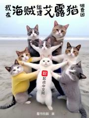 我在海贼组建艾露猫调查团免费