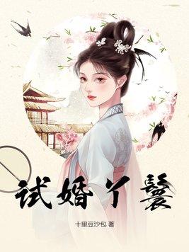 试婚丫鬟世子变侯爷沈砚临