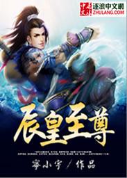 辰皇输出技能
