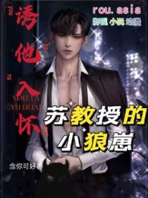 诱他入怀苏教授的小狼崽好看吗