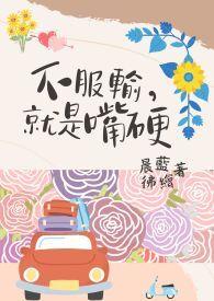 嘴上不服输的人