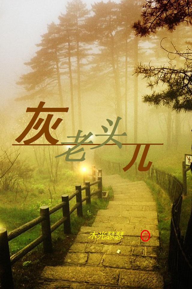 灰仙老太太图片