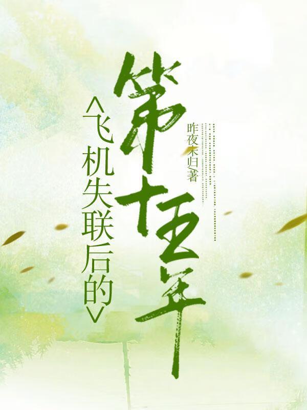飞机失联后的第十五年全文免费