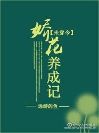 未穿今娇花养成记免费阅读全文