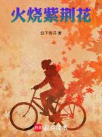 火烧紫荆花2