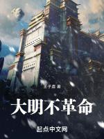 大明不革命TXT链接