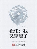 穿越崔伟免费阅读