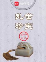 乱世王者珍宝阁在哪里