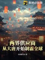 两界供应商从大唐开始制霸全球陈明