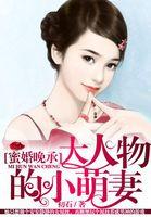 蜜婚老公大人轻撩txt