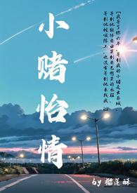 小赌怡情最理想解生肖