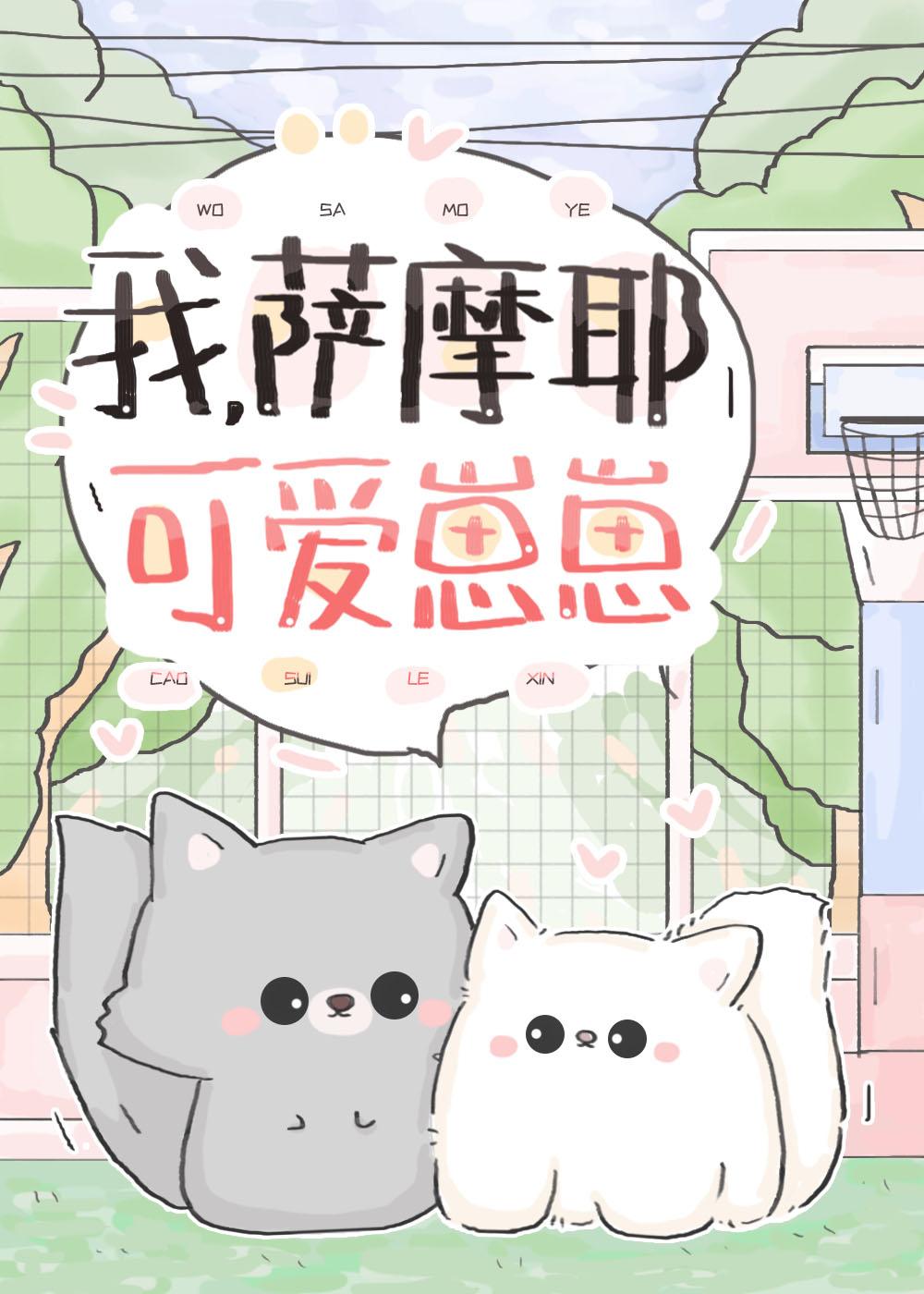我家的萨摩耶