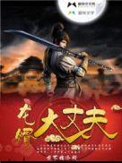 龙婿大丈夫司徒无忧结局