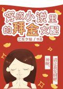 穿越成里的女配文