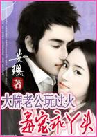 大牌老公宠婚无限全文免费