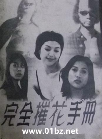 完全摧花手册外传姚落矶