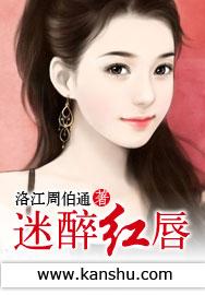 醉迷红楼作者