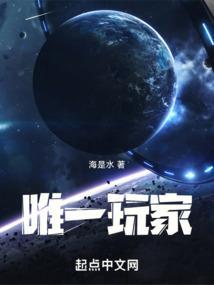 唯一游戏玩家