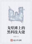 戈壁滩上的黑科技大佬起点