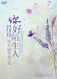 综英美大佬你好