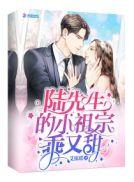 陆先生你的小祖宗