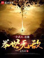 一介武夫的意思