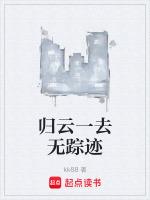 归云一去无踪迹 古