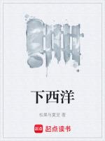西洋是现在的什么地方