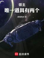 领主是什么意思?