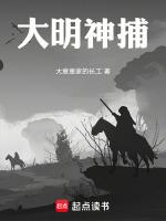 大明神捕银钗盗