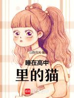 睡在高中里的猫是什么猫