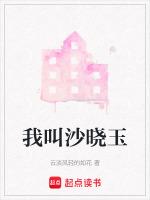 我叫沙一汀el