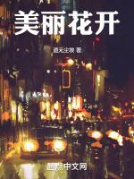 美丽花开视频素材