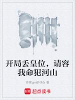 开局抢了皇位