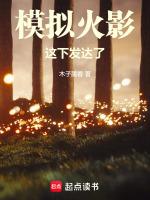 火影手游模拟器
