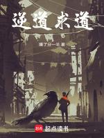 飞升之路