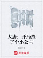 大唐开局捡了个小公主txt