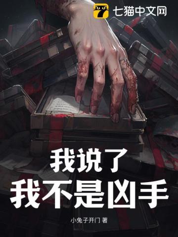 我说了我不是凶手介绍